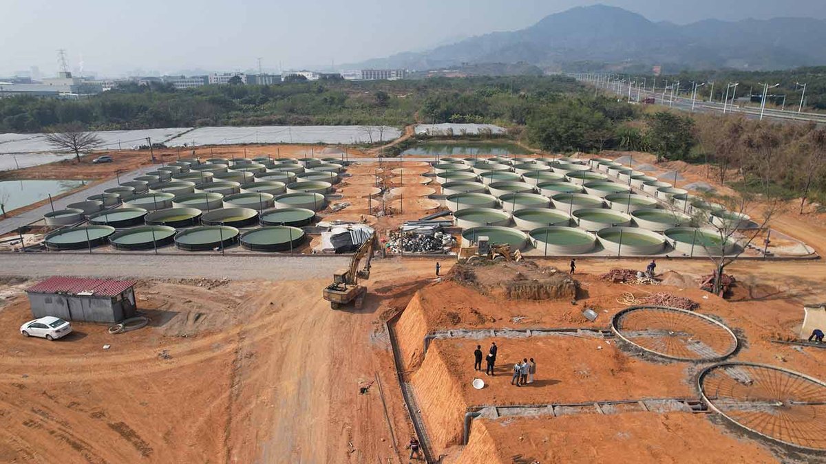 Collaboration Cases 109